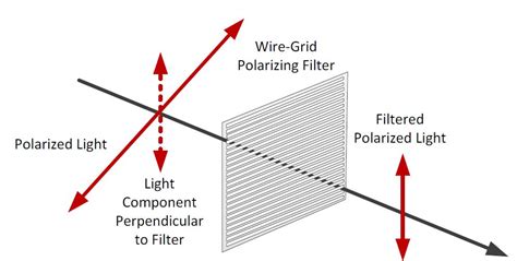 polarimeter polarizing filters are parallel|polarizer wire direction.